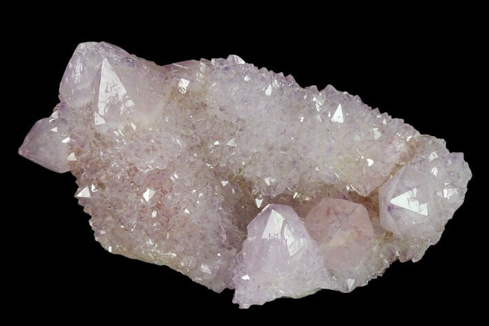 Cactus Quartz (Amethyst) Crystal Cluster - South Africa #137796
